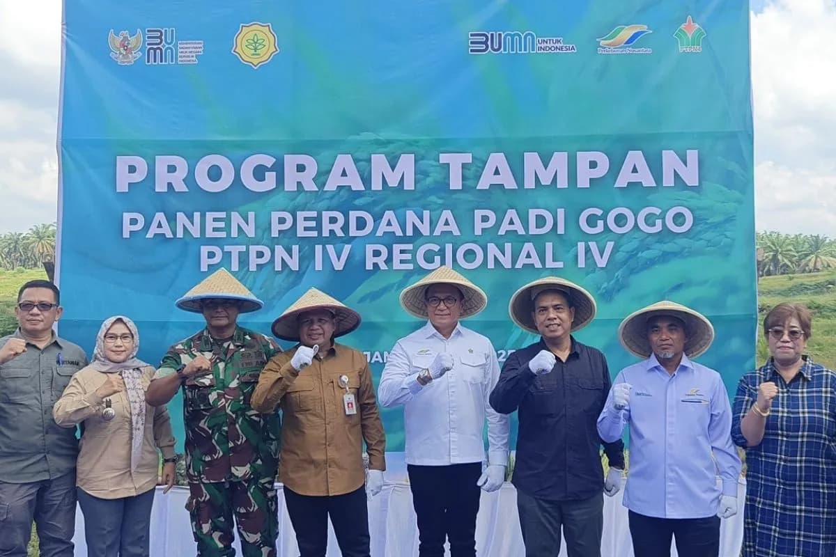 Panen Perdana Padi Gogo di Lahan PSR Jambi, PTPN IV PalmCo dan RSI Tuai Apresiasi Kementan