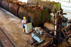 Ekspor CPO Melonjak 59,63 Persen, Batu Bara dan Baja Melemah di Januari 2026