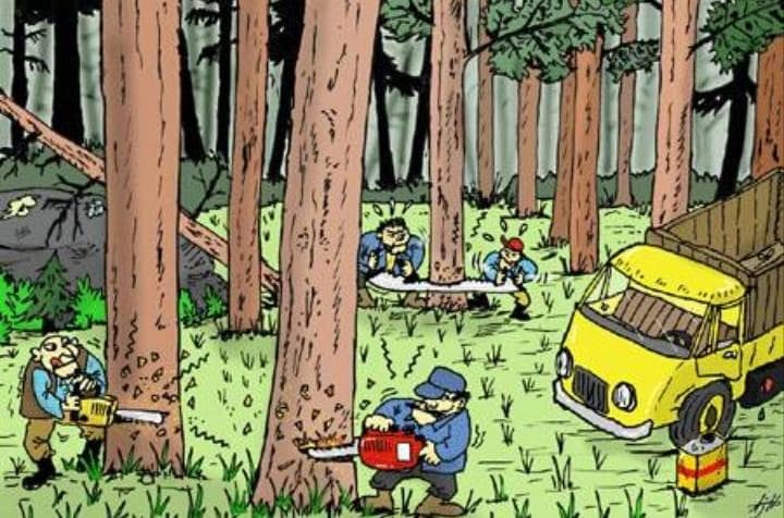 Satgas PKH Tertibkan 3.043 Hektare Perkebunan Ilegal di Cagar Alam Maninjau