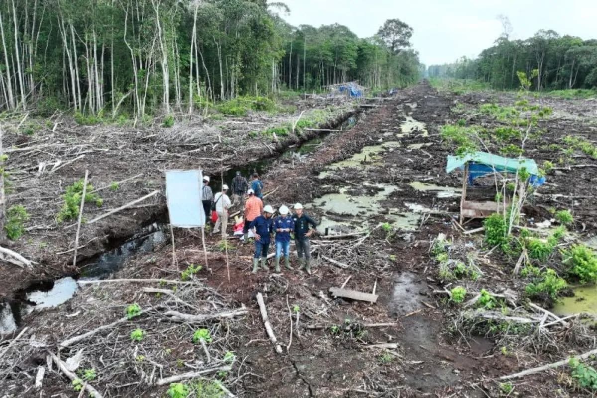 Gakkum Kemenhut Segel 80 Hektare Lahan Terbakar di Konsesi PT PML Sumsel