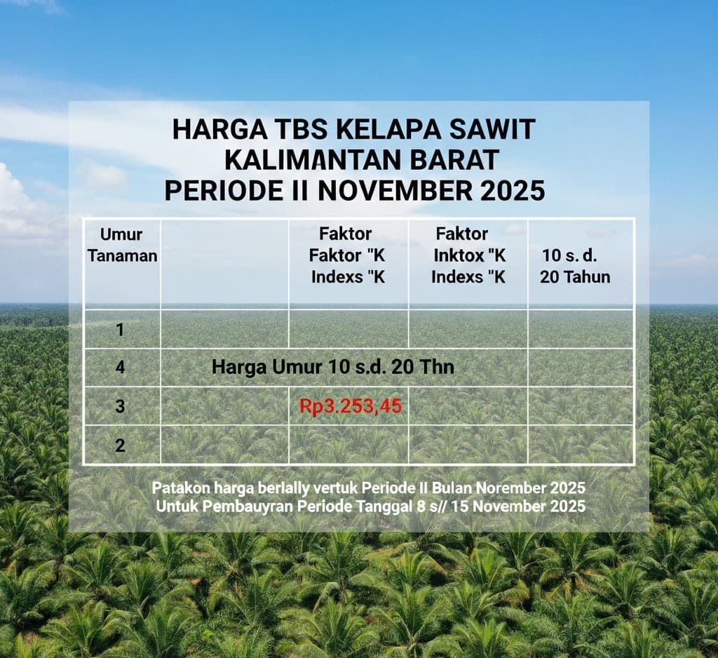 Harga TBS Kalbar Periode II November 2025 Tembus Rp3.253,45 per Kg